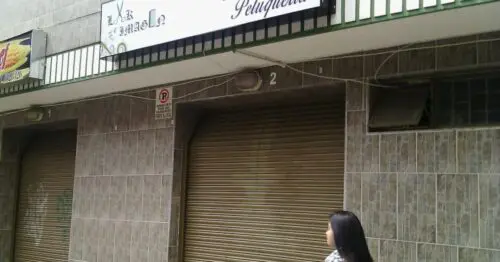 MENDEZ PELUQUERIA JARDÍN NORTE MENDEZ PELUQUERIA JARDÍN NORTE